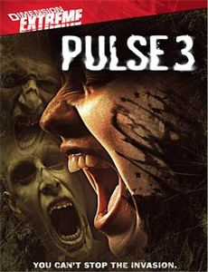 丐世神主别动我兄弟