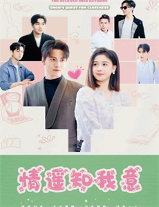 幻影车神:魔盗激情印地语