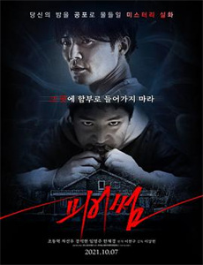 星辰与你皆可期