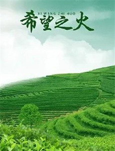 第一分队 第二季